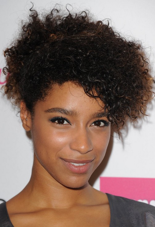 African American Hairstyles For 2014 Sexy Short Curly