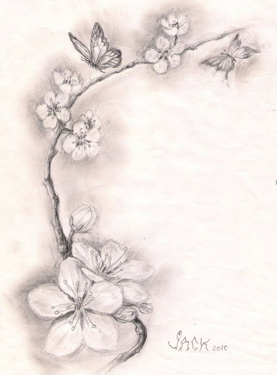 Dessins de tatouages de cerisier