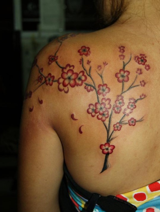 Tatoveringer Design: Cherry blossom tree tattoo på skulderen