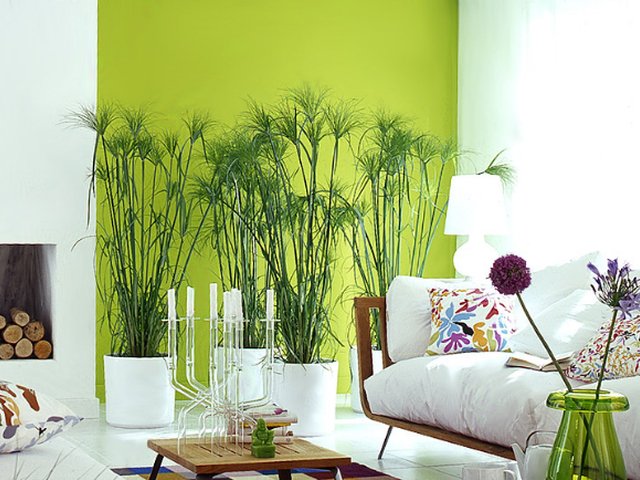 home-decorating-green-walls-of-living-room-pretty-designs